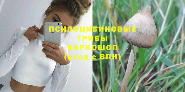 гидра Валдай