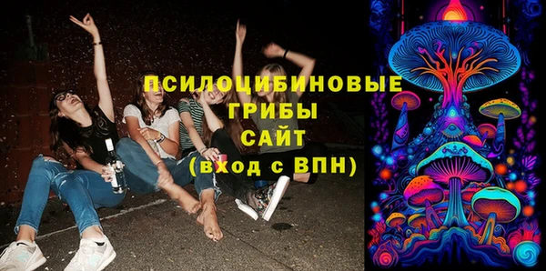кокс Бородино
