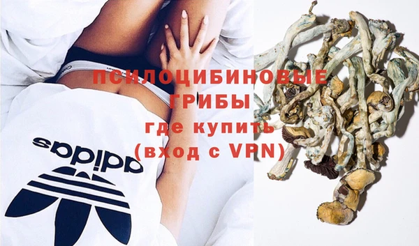 кокс Бородино